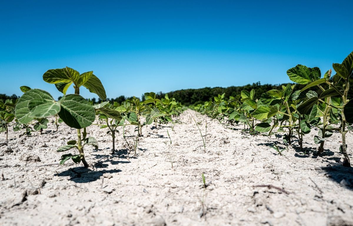 Sécheresse : le gouvernement dévoile un plan de plus d'un milliard d'euros pour les agriculteurs