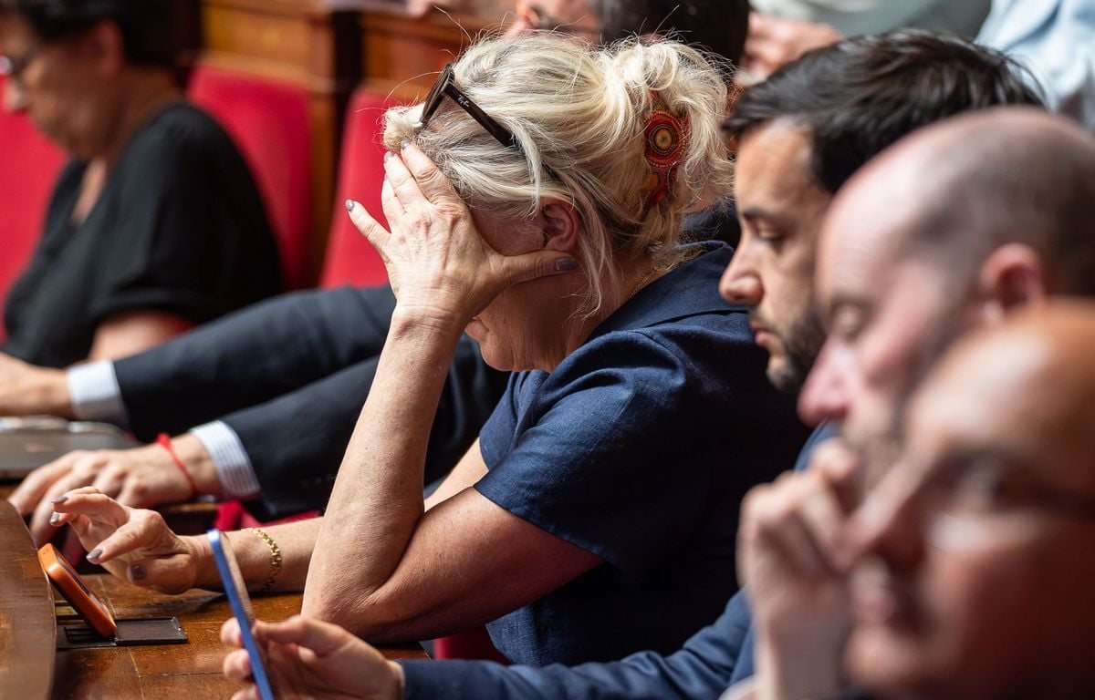 Elon Musk qualifie Marine Le Pen de « dernier espoir de la France » et suscite des accusations d'ingérence