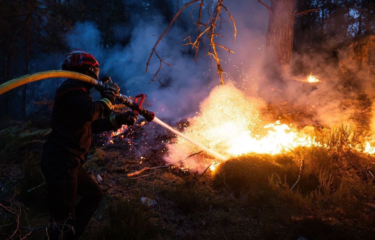 Un incendie parcourt 60 hectares dans le Var et entraîne l'évacuation de 650 personnes