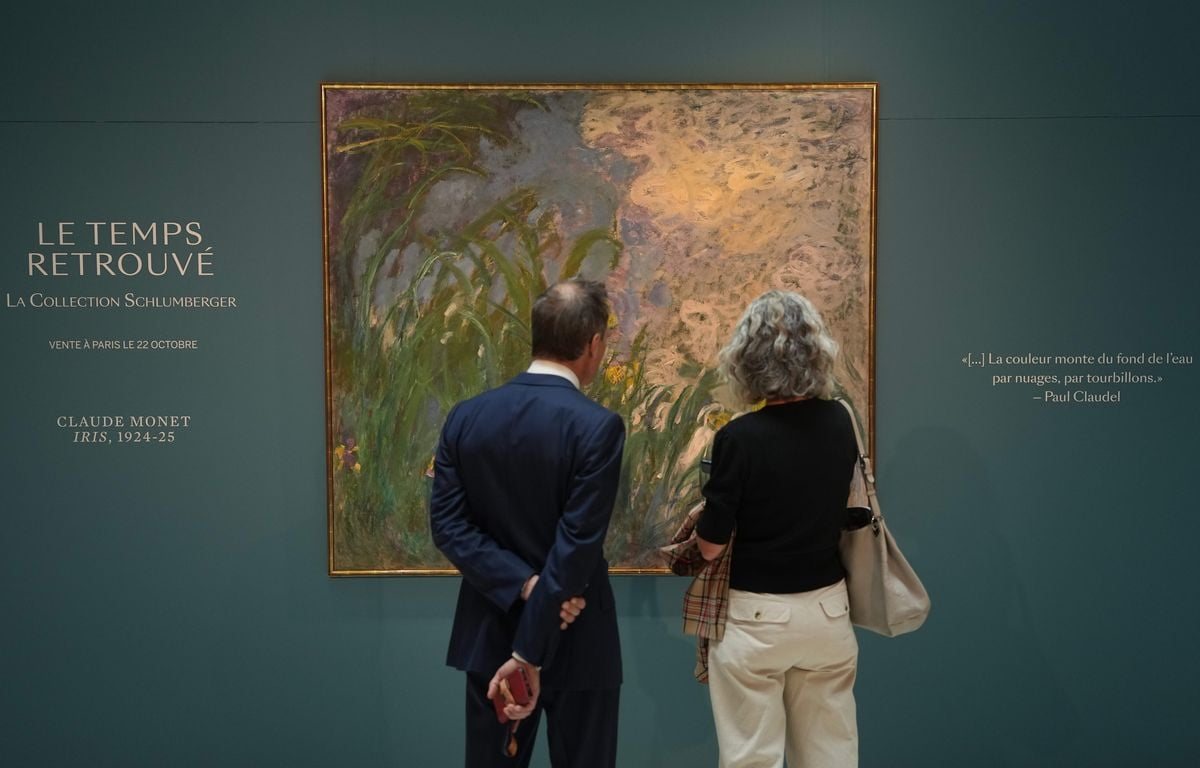 « Iris » de Claude Monet vendu 50 millions d'euros, un record pour les enchères en France