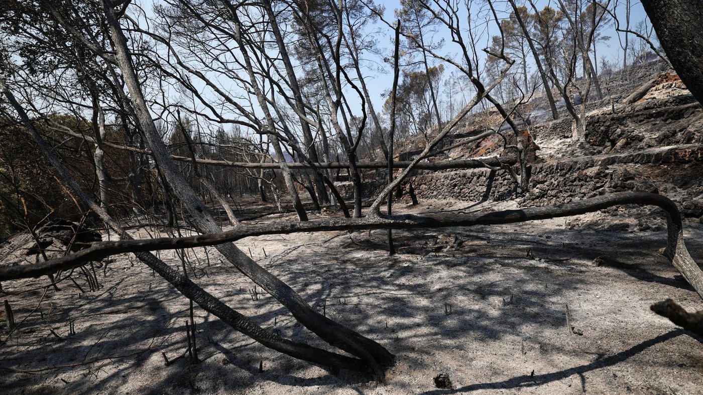 La France recense 14 540 feux ou départs de feu depuis le début de la saison
