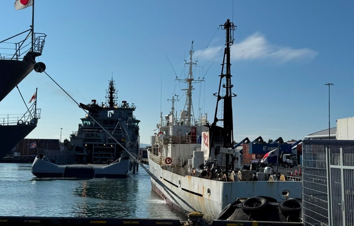 Trois militants français risquent l’expulsion après une action contre la chasse à la baleine en Islande