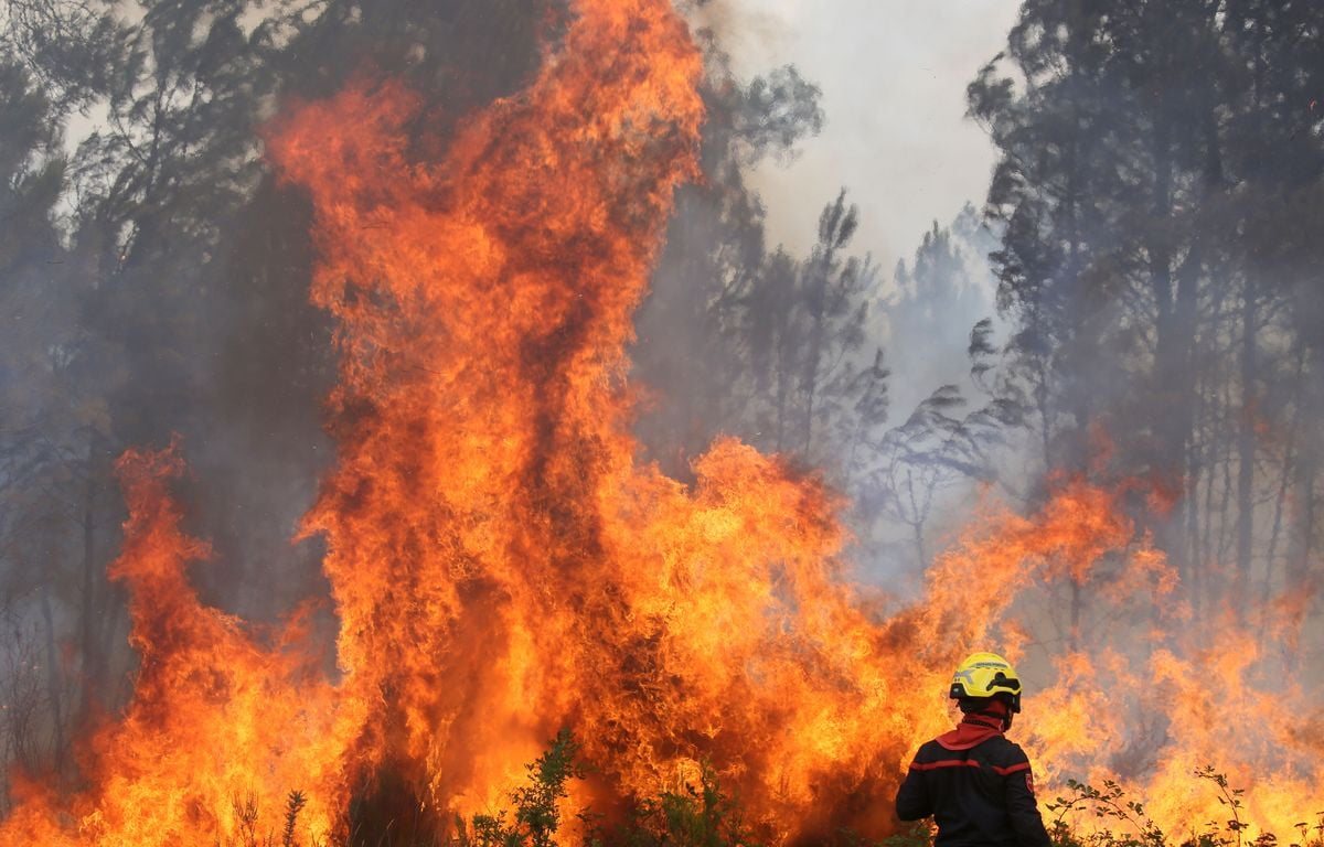 Incendies en Espagne: le plus grand feu de forêt jamais enregistré, 75 000 personnes évacuées