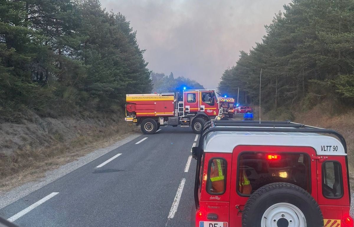 Incendie de Puilaurens dans l’Aude : 225 hectares brûlés, le feu toujours pas fixé