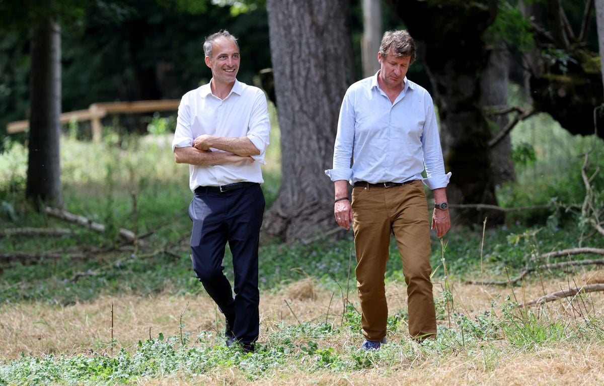 Yannick Jadot suspendu par Les Écologistes après son soutien à Raphaël Glucksmann