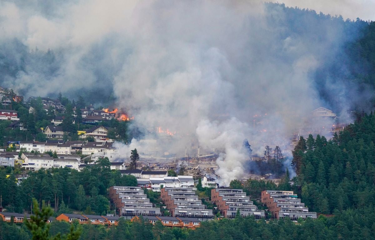 L'incendie de la forêt de Fontainebleau fixé après une semaine de lutte intense