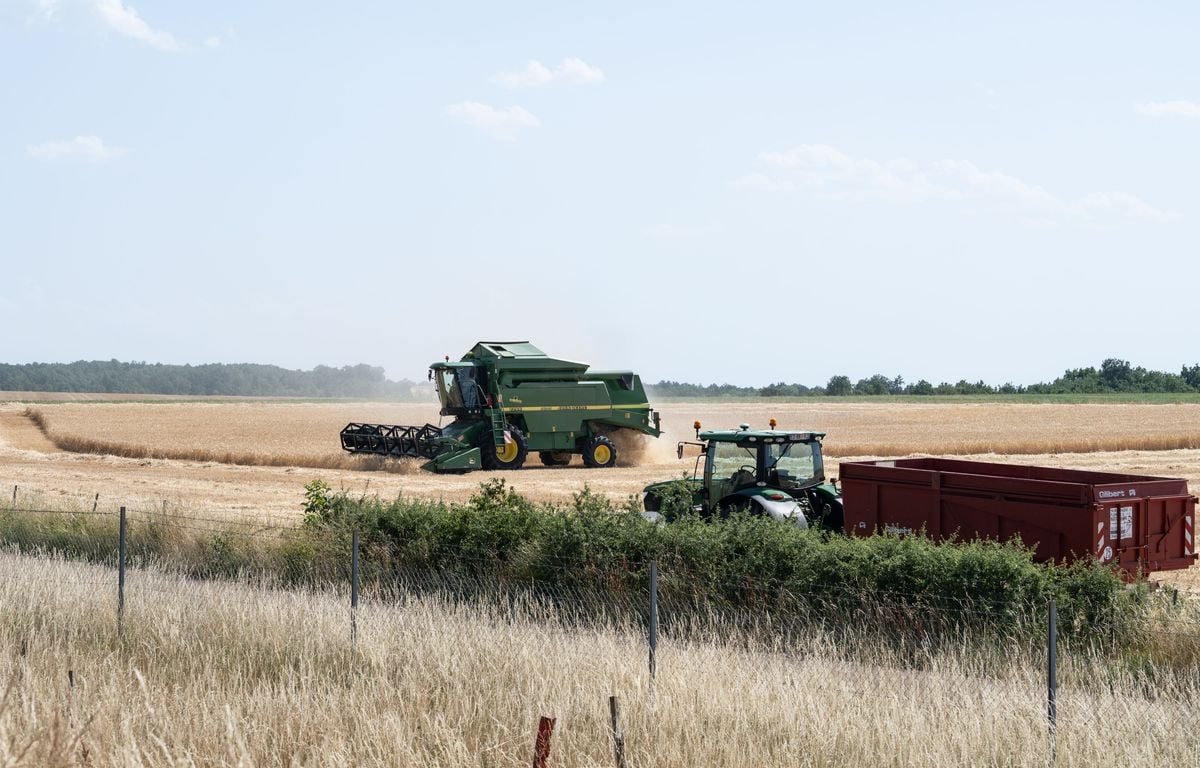 Incendies: Comment les agriculteurs font face aux risques de départ de feu dans les champs?