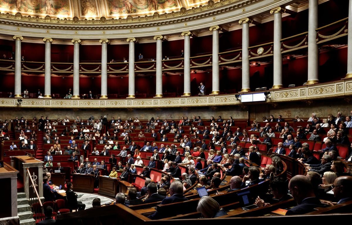 L'Assemblée nationale adopte massivement le projet de loi sur la protection des enfants