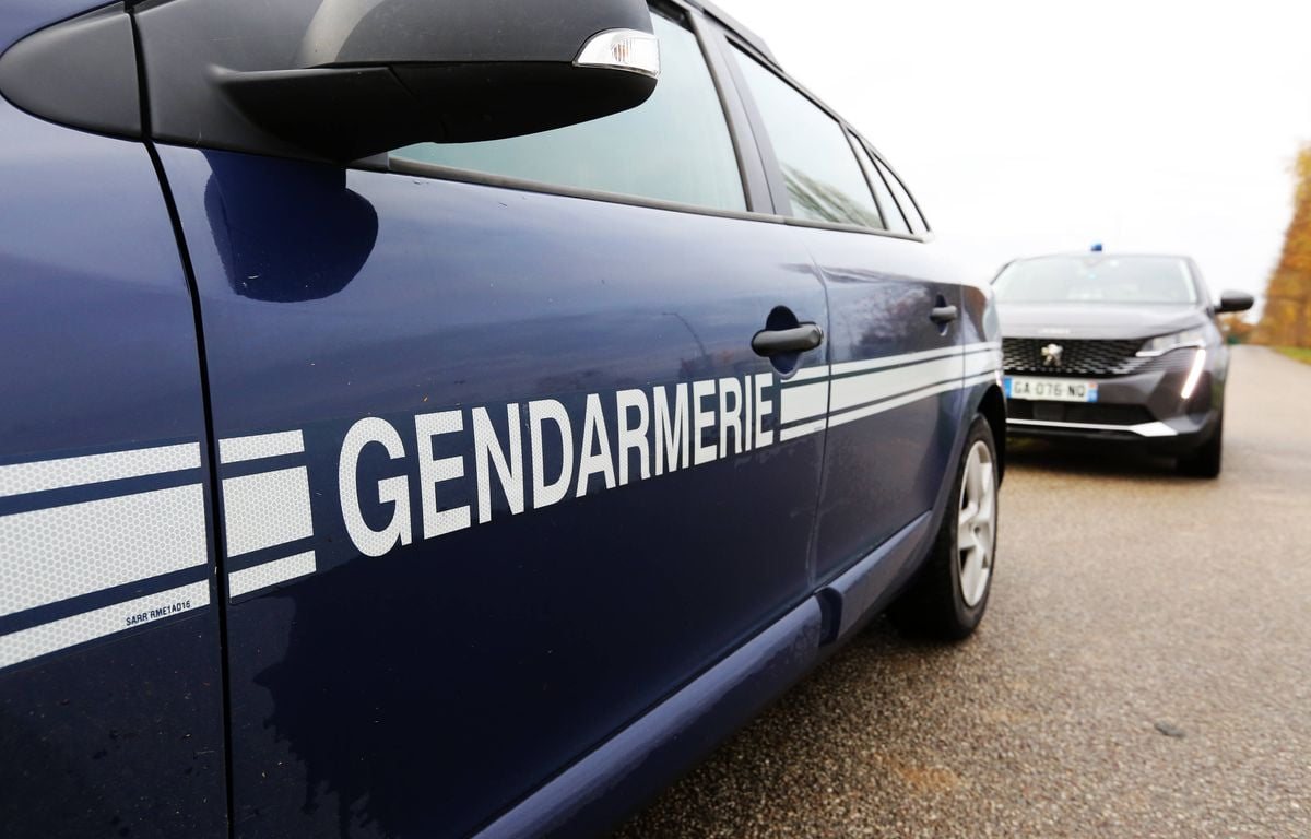 Un homme tué dans un véhicule transportant des étrangers en situation irrégulière dans l'Aube